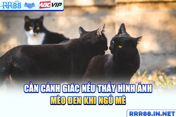 Cần cảnh giác nếu thấy hình ảnh mèo đen khi ngủ mê