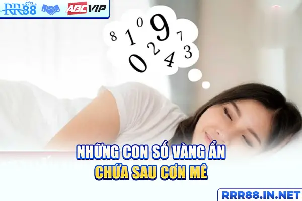 Những con số vàng ẩn chứa sau cơn mê